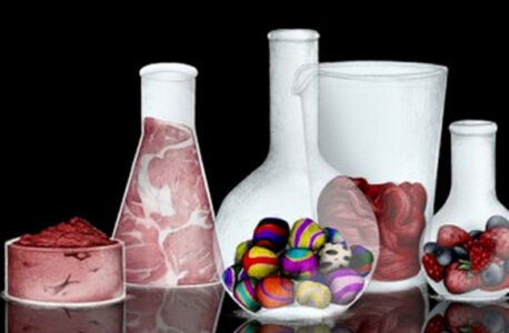 The In Vitro Meat Cookbook Image